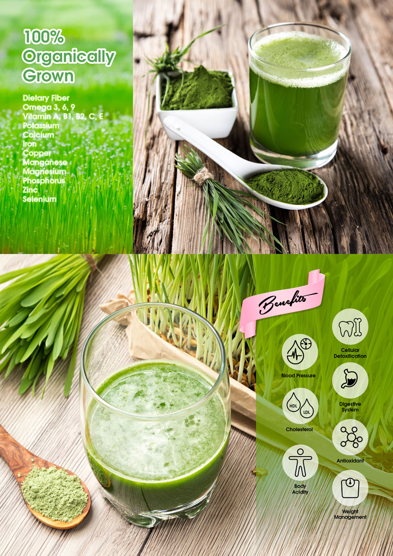 Design1920p_Organic-Wheat-Grass-Powder_A4_V26